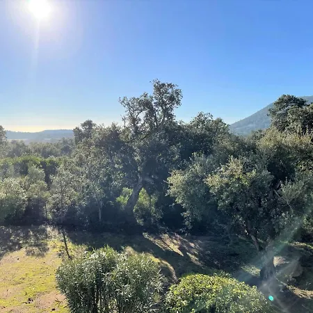 Appartamento Bel Avec Piscine Commune A 900 Metres De La Plage N22 Sainte-Lucie de Porto-Vecchio
